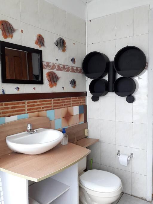 Casa Viva Appartement